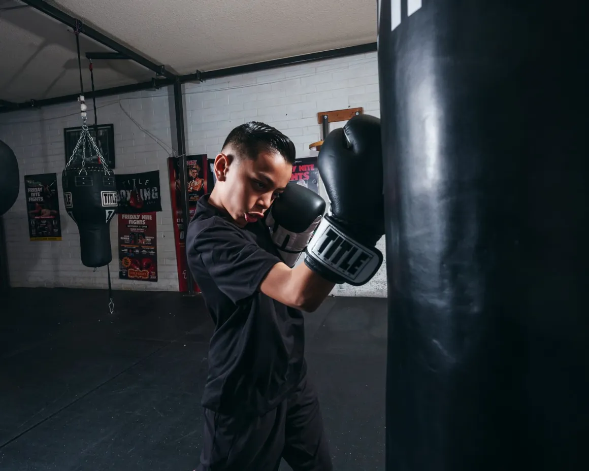 TITLE Premier Leather Super Bag Boxing Gloves 2.0