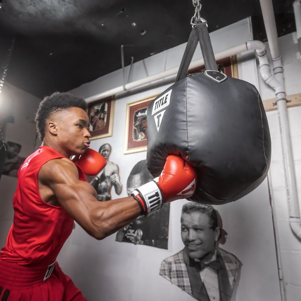 TITLE Premier Leather Super Bag Boxing Gloves 2.0