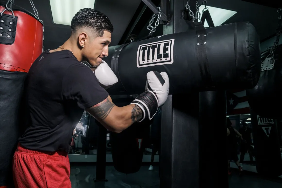 TITLE Synthetic Leather Uppercut Heavy Bag