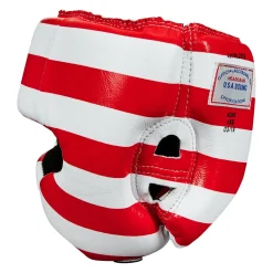 TITLE USA Boxing Competition Headgear - With Cheeks