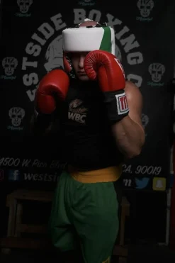 TITLE USA Boxing Competition Headgear - With Cheeks
