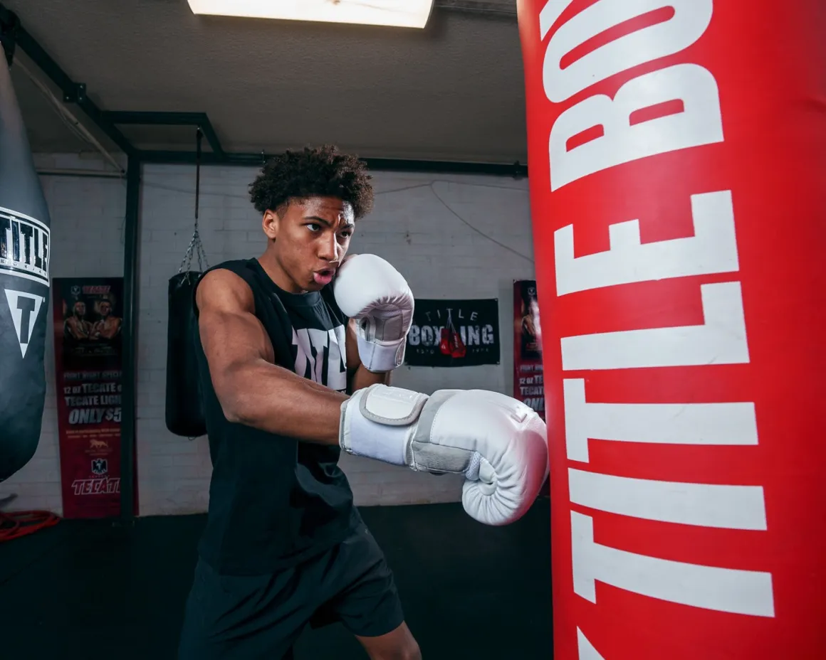 TITLE White Boxing Gloves