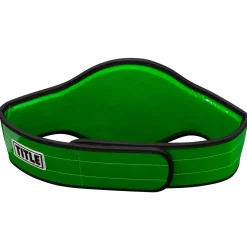 World Boxing Champion Title Belt